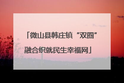 微山县韩庄镇“双圈”融合织就民生幸福网