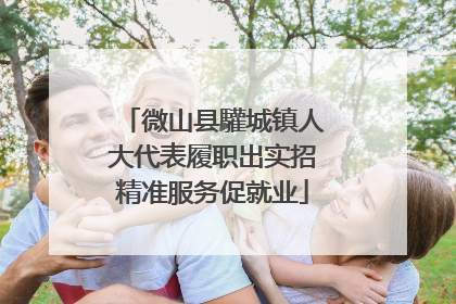 微山县驩城镇人大代表履职出实招精准服务促就业