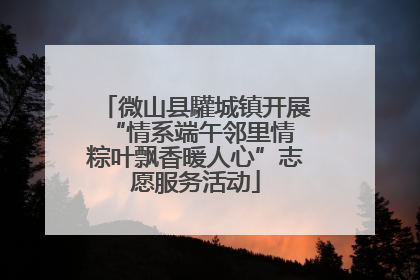 微山县驩城镇开展“情系端午邻里情 粽叶飘香暖人心”志愿服务活动