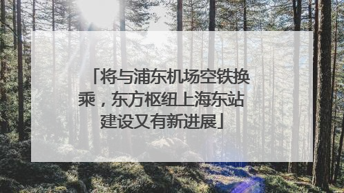 将与浦东机场空铁换乘，东方枢纽上海东站建设又有新进展