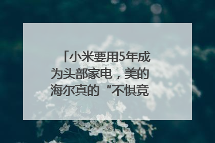 小米要用5年成为头部家电，美的海尔真的“不惧竞争”？｜热财经