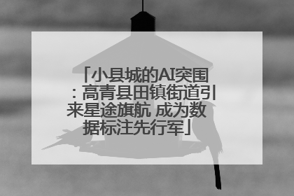 小县城的AI突围：高青县田镇街道引来星途旗航 成为数据标注先行军