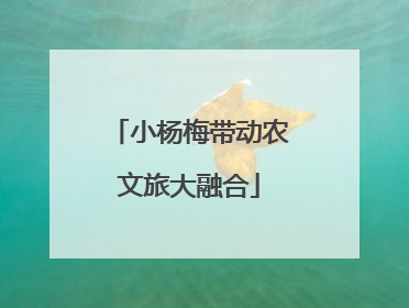 小杨梅带动农文旅大融合