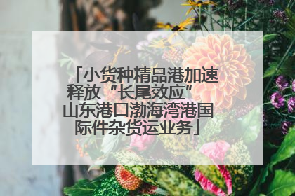 小货种精品港加速释放“长尾效应” 山东港口渤海湾港国际件杂货运业务