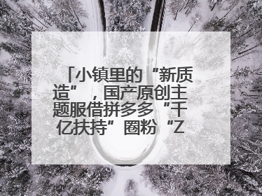 小镇里的“新质造”，国产原创主题服借拼多多“千亿扶持”圈粉“Z世代”