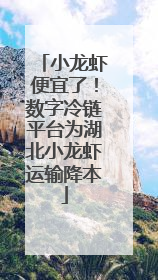 小龙虾便宜了！数字冷链平台为湖北小龙虾运输降本