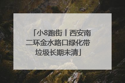 小8跑街丨西安南二环金水路口绿化带垃圾长期未清