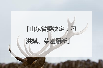 山东省委决定：刁洪斌、荣刚履新