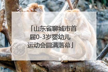 山东省聊城市首届0-3岁婴幼儿运动会圆满落幕