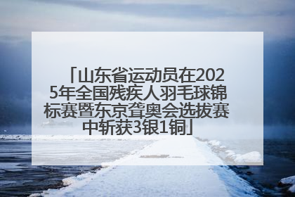 山东省运动员在2025年全国残疾人羽毛球锦标赛暨东京聋奥会选拔赛中斩获3银1铜