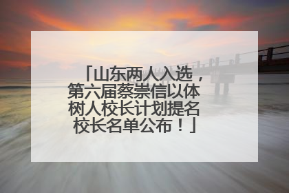 山东两人入选，第六届蔡崇信以体树人校长计划提名校长名单公布！