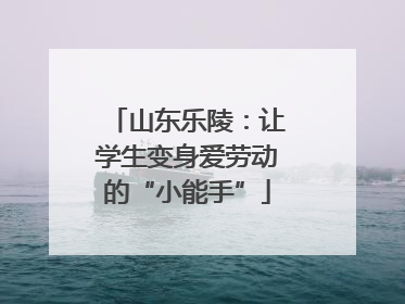 山东乐陵：让学生变身爱劳动的“小能手”