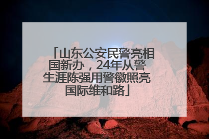 山东公安民警亮相国新办，24年从警生涯陈强用警徽照亮国际维和路