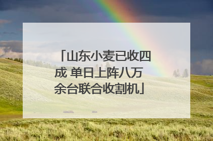 山东小麦已收四成 单日上阵八万余台联合收割机