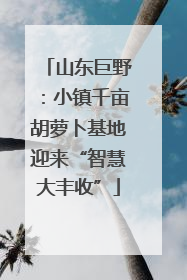 山东巨野：小镇千亩胡萝卜基地迎来“智慧大丰收”
