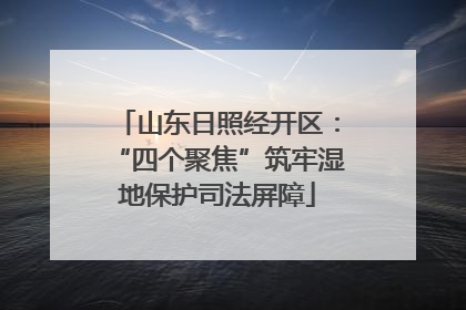 山东日照经开区：“四个聚焦”筑牢湿地保护司法屏障