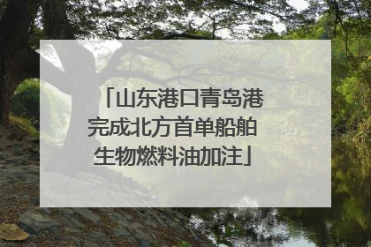 山东港口青岛港完成北方首单船舶生物燃料油加注