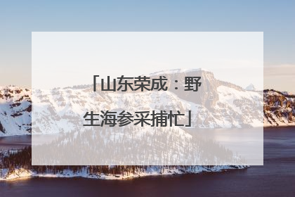 山东荣成：野生海参采捕忙