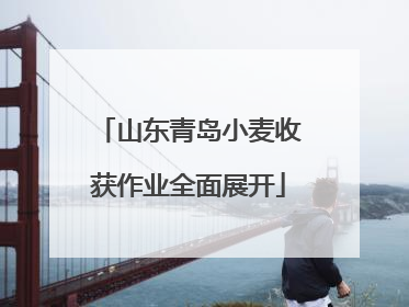 山东青岛小麦收获作业全面展开