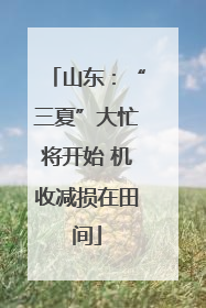 山东：“三夏”大忙将开始 机收减损在田间
