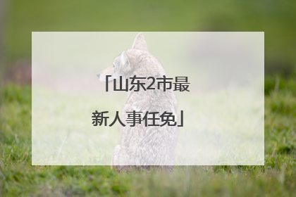 山东2市最新人事任免