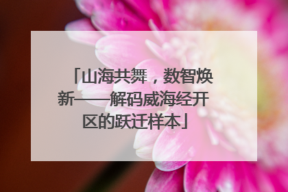 山海共舞，数智焕新——解码威海经开区的跃迁样本