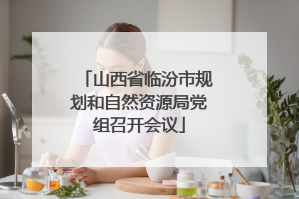 山西省临汾市规划和自然资源局党组召开会议