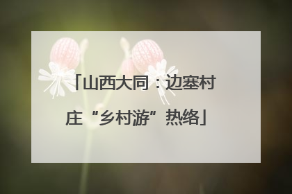 山西大同：边塞村庄“乡村游”热络