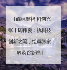 峰林聚智 科创兴张丨周伟良：执科技创新之笔，绘就张家界药谷新篇