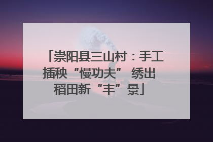 崇阳县三山村：手工插秧“慢功夫” 绣出稻田新“丰”景