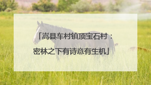 嵩县车村镇顶宝石村：密林之下有诗意有生机