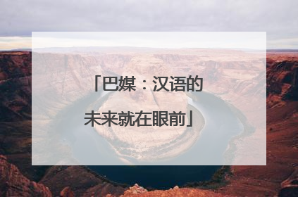 巴媒：汉语的未来就在眼前