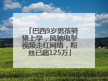 巴西9岁男孩骑猪上学，风驰电掣视频走红网络，粉丝已超125万
