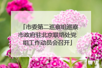 市委第二巡察组巡察市政府驻北京联络处党组工作动员会召开