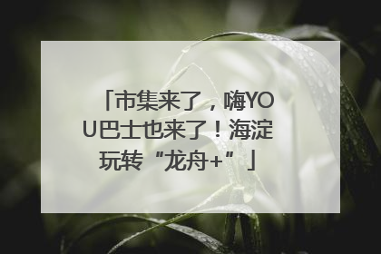 市集来了，嗨YOU巴士也来了！海淀玩转“龙舟+”
