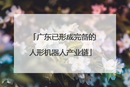 广东已形成完备的人形机器人产业链