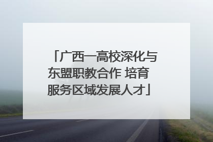 广西一高校深化与东盟职教合作 培育服务区域发展人才