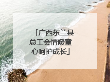 广西东兰县总工会情暖童心呵护成长
