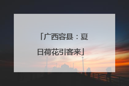 广西容县：夏日荷花引客来