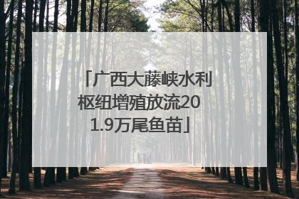 广西大藤峡水利枢纽增殖放流201.9万尾鱼苗