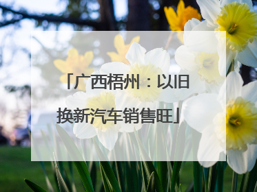 广西梧州：以旧换新汽车销售旺