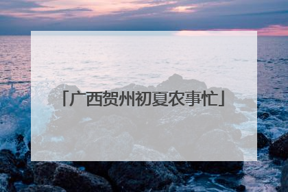 广西贺州初夏农事忙