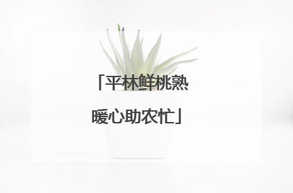 平林鲜桃熟 暖心助农忙