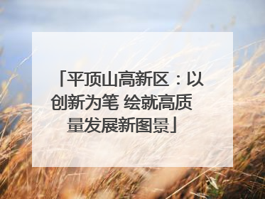平顶山高新区：以创新为笔 绘就高质量发展新图景