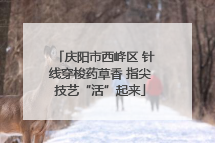庆阳市西峰区 针线穿梭药草香 指尖技艺“活”起来