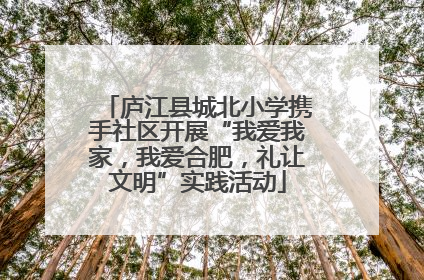 庐江县城北小学携手社区开展“我爱我家，我爱合肥，礼让文明”实践活动