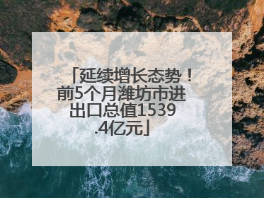 延续增长态势！前5个月潍坊市进出口总值1539.4亿元