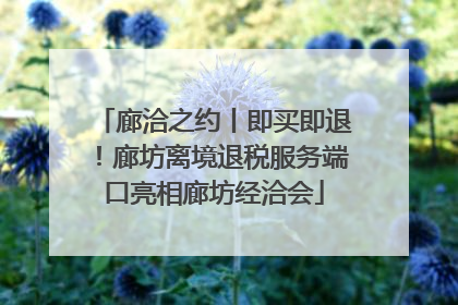 廊洽之约丨即买即退！廊坊离境退税服务端口亮相廊坊经洽会