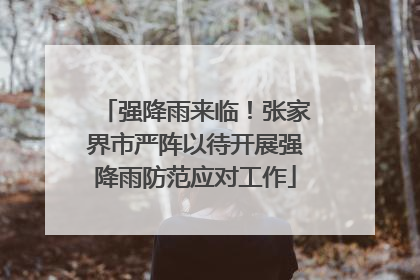 强降雨来临！张家界市严阵以待开展强降雨防范应对工作