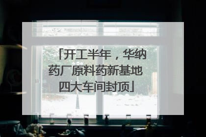 开工半年，华纳药厂原料药新基地四大车间封顶